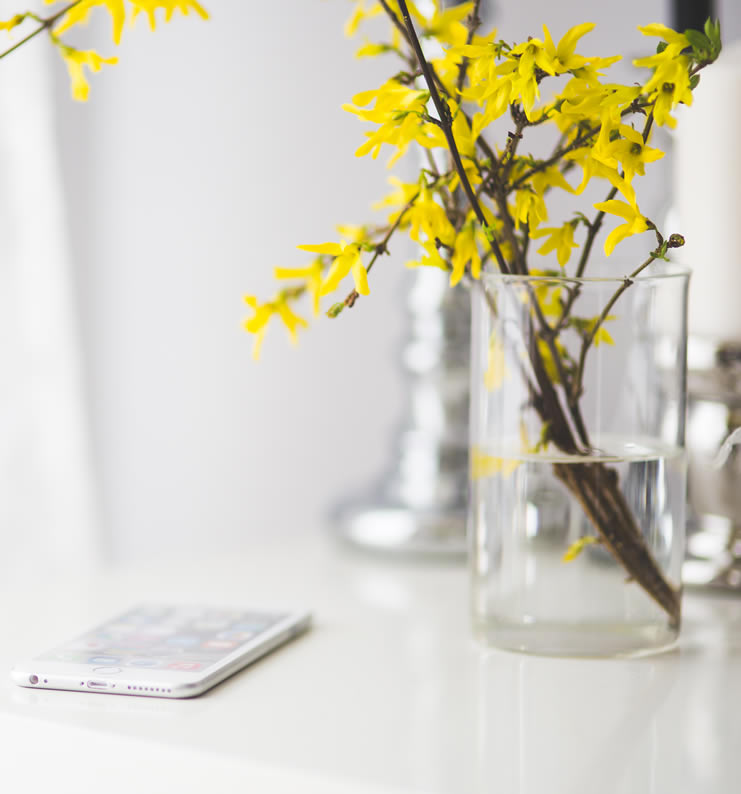 Yellow flowers