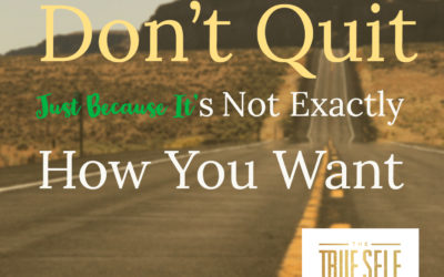 Ep. 9 – Don’t Quit, Just Because It’s Not Exactly How You Want